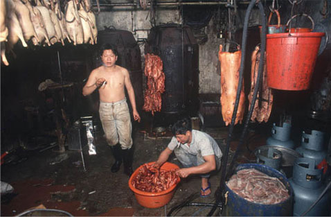                  ,  ,   ( Greg Girard).