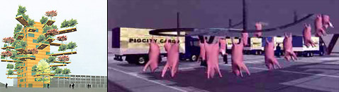     .        ,    - Pig City    ,  (   letemps.ch  fenice.info).