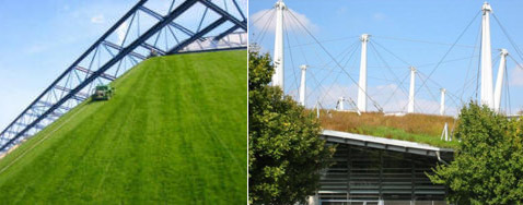     ()      ( Haven Kiers).