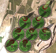    ,        . , ,          ( Eloy Celaya   torrebionica.com).