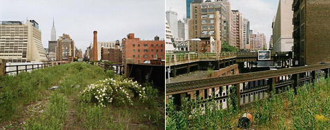          (   thehighline.org).