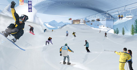       ,       (   skidxb.com).