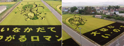 , , ,        .  2006          ,       (   vill.inakadate.aomori.jp).