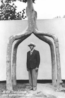 ������-�������������� ������ ��������� ��� �������, � �������� ������ ������ ��������� � ���� (���� � ����� arborsmith.com).