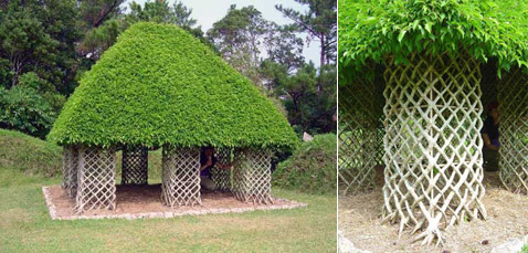 ���-����� �� ������� �������. ����������, ������� ���� ������ ��������������� (���� � ����� arborsmith.com).