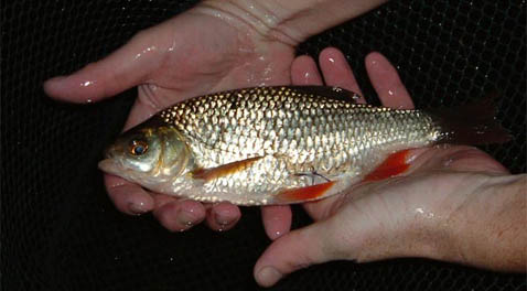          (   juliefreeman.co.uk).