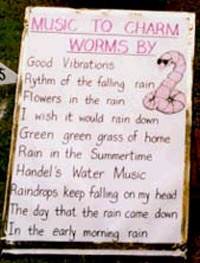          (   stmarysvillagecarnival.com)