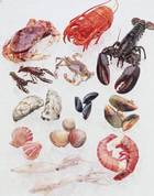 ������������ - � �������, � ������