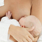 ������ ������ ������ �� ��������