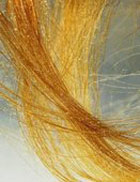 ������� ������: � ���� ���-�� ����...