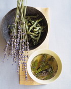 ������������ ������� �������� ��������