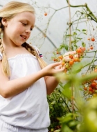 ������������ ������� �������� ��������