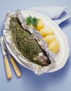 ������ ����