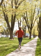 �������� ��������