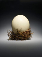 ��� ���� � ��������