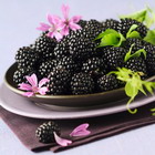 ������ ����� ������ � �������. ����� 2 