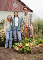 �������� ������� �� ������ ��������. ������������ ������� �������� ��������