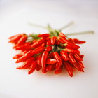 ���� � �������