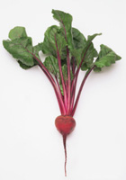 ������� ��������� ������