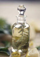 ����������������� �������� ������� �����