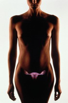 ������ ����