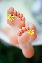 ��� ��������� ������� �����