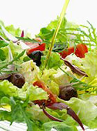 �������� ��� ������� � ��������