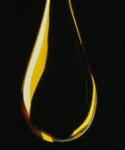 ����� �� ������ ����