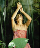 ������� �������� ����