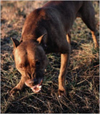 ������ ������ �������!