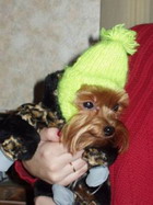 ���� � ������. ������������ � ������������. � ����� - ������ � �������� �����. ����� 2