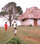  ������� ������� ���� (�����������)