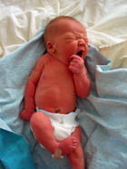  ������� ������� ���� (�����������)