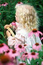 ���� ����: ���� � ���������. ������ ��������