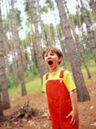 ������� �������� 