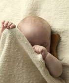 �������� ����