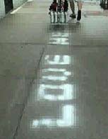      (   bikesagainstbush.com).