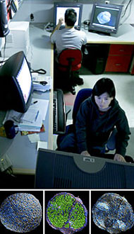 ����� ������ � ������������ �������� (����������� Jason Scott/New York Times).