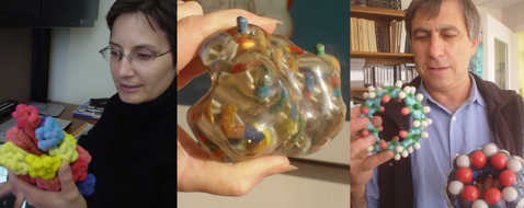 ��������� ������� ���� ����� (Lisa Craig) � ���� ������ (Ehud Keinan) ���������� ������ ��������� ������������� �������� (���� � ����� scripps.edu).