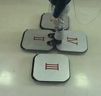 �������� ������� (���� � ����� tsukuba.ac.jp).