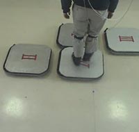 ������������ ����� �������� ����������� �������� (���� � ����� tsukuba.ac.jp).