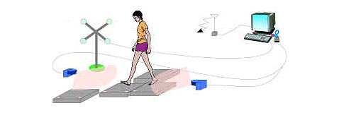 "����������" � �������� �������� (�����) ����������� ��������� ������������, ��������� ������ �� ���������, ������� ��������� �������� (���� � ����� tsukuba.ac.jp).