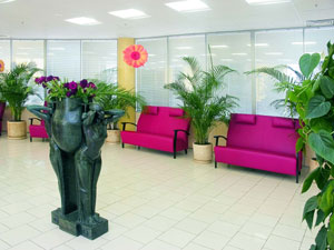 �������, ����� ������ ������� ��������� ��� �������� � ������ �������� �����, ������.