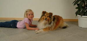  ������ ������������ ��������� ��������������� ����� ������ ������� �� ������ ���� ������.