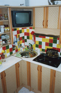 ������ ������: �. �����������