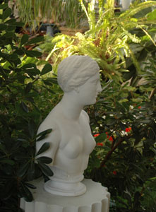 ���� ����� ������ ��� ���������� ������������ ���� � ��������, �������� ��� �������� ��������.