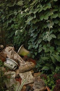 �� ����������� ���� ����� ���������������� ����� ������� ���� �������� ���������� ���������� � ����, ��������� ����� ����� � ������ �����������.