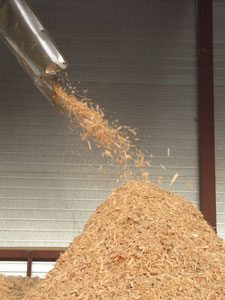 � ������ ������������ ������� � ������������� �����, ������������� �� ��������� ������� ����� (����� 90% ������ �����), �������, ������� ������ � �������� ��������. 