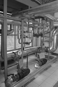 ������������� ����������� ������ ������� ����������� ���������������� ���������. 