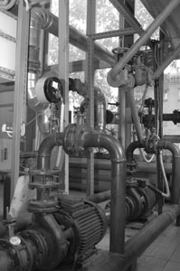 ������������ ������ ������� �������� ����������� ������ (������ �� 10). 